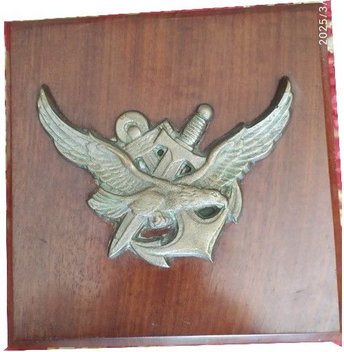 commando marine parachutiste 110 Solli�s-Pont (83)