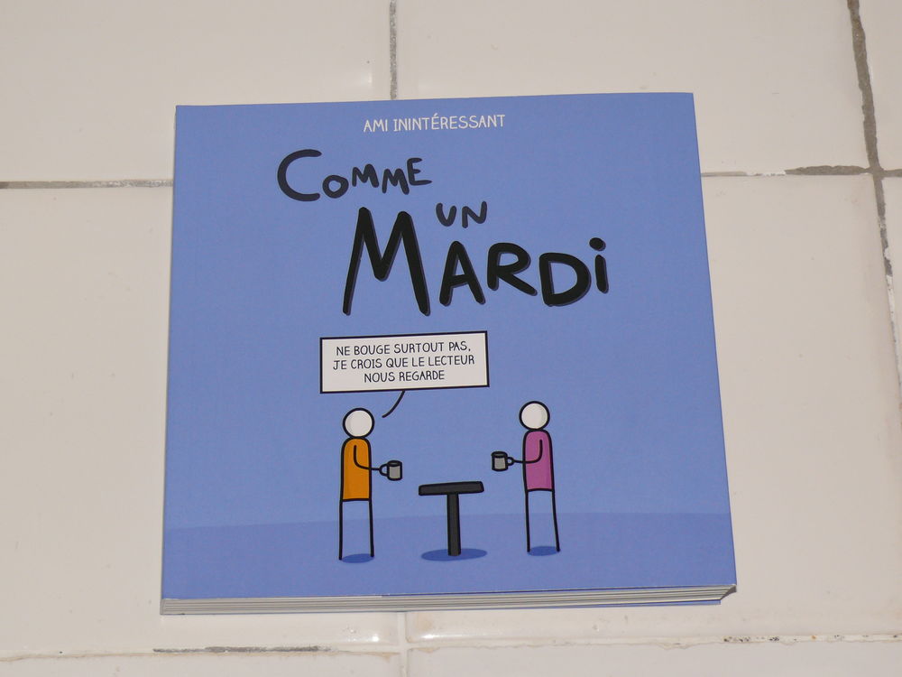 BD :  Comme un Mardi  14 Saintes (17)
