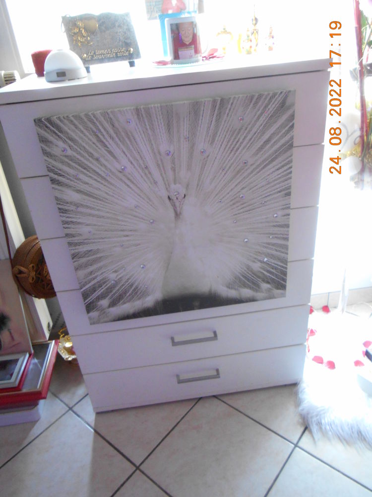 COMMODE 50 Chevigny-Saint-Sauveur (21)