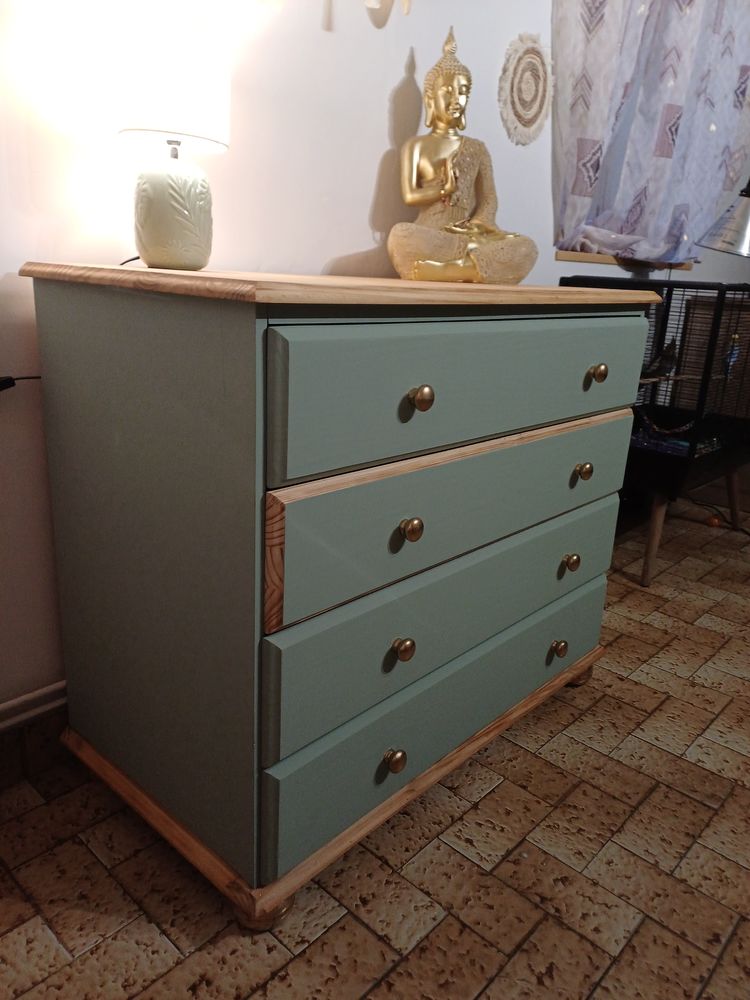 Commode 90 La Celle-Saint-Avant (37)