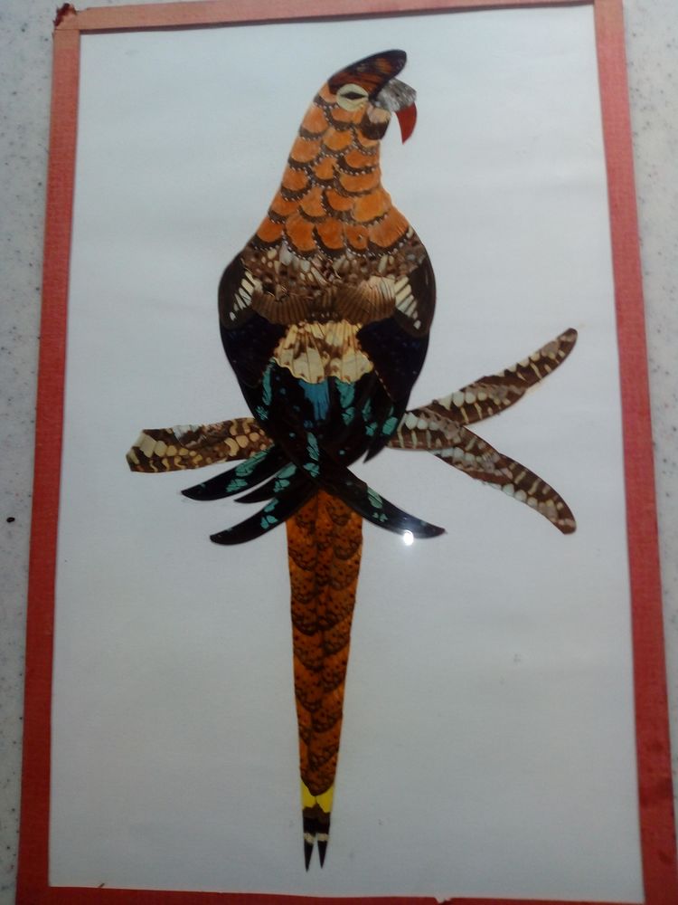  Composition perroquet, avec ailes de papillons 20 Alfortville (94)