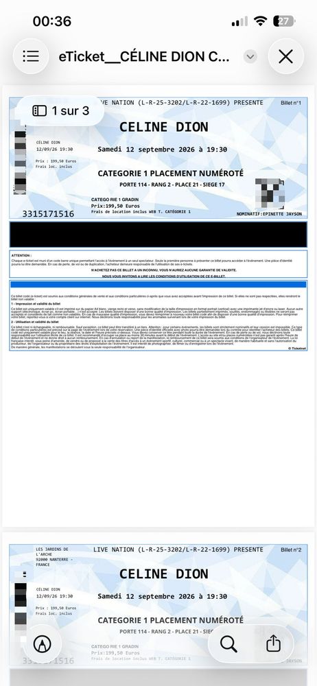 Concert Celine Dione 200 Marseille 15 (13)