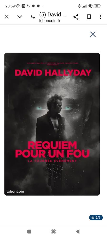 Concert David Hallyday le phare Chamb�ry 70 Saint-Genix-sur-Guiers (73)