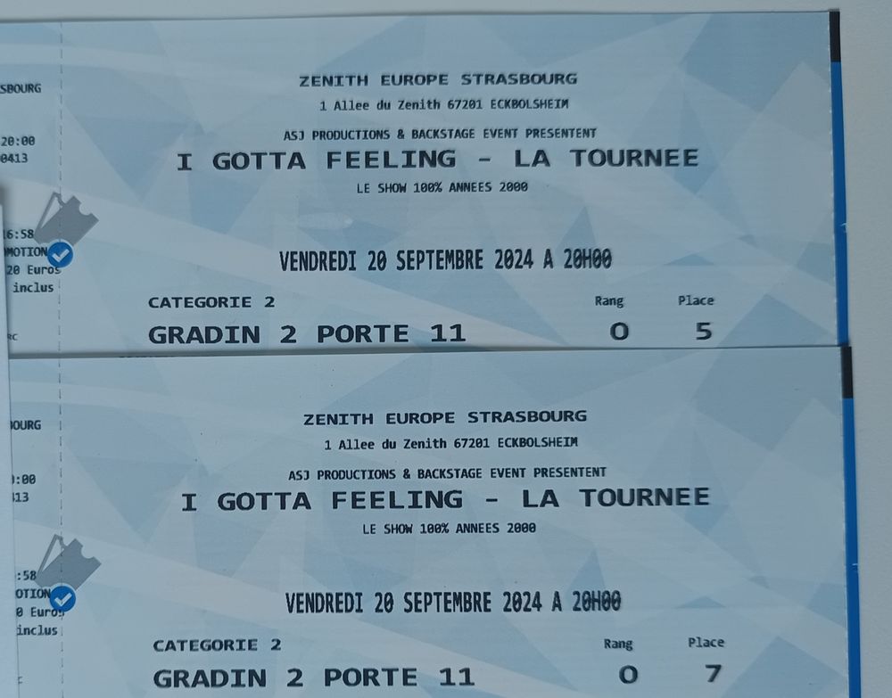 Concert I gotta feeling Strasbourg 39 Molsheim (67)