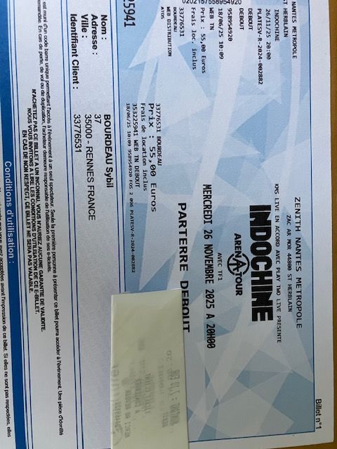 Concert Indochine Nantes 55 Pornic (44)