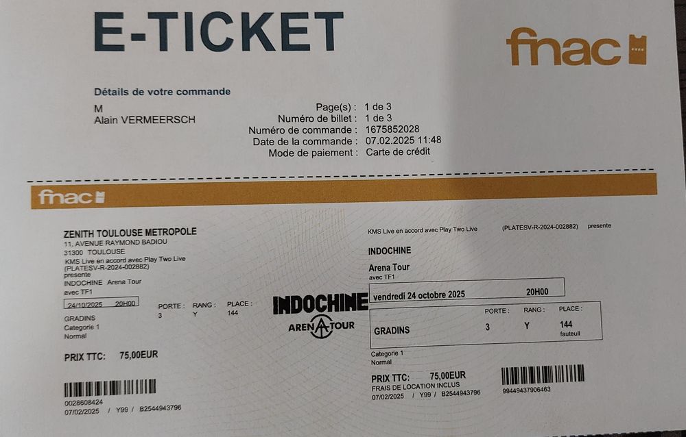 Concert Indochine Toulouse 75 Lyon 6 (69)