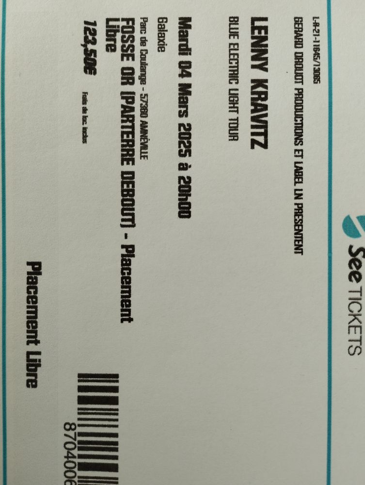 Concert Lenny Kravitz 120 Challans (85)