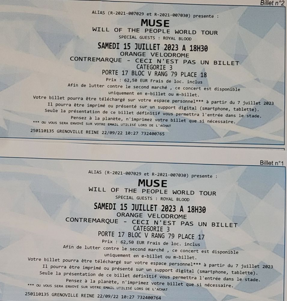 Concert Muse 60 Canet (34)