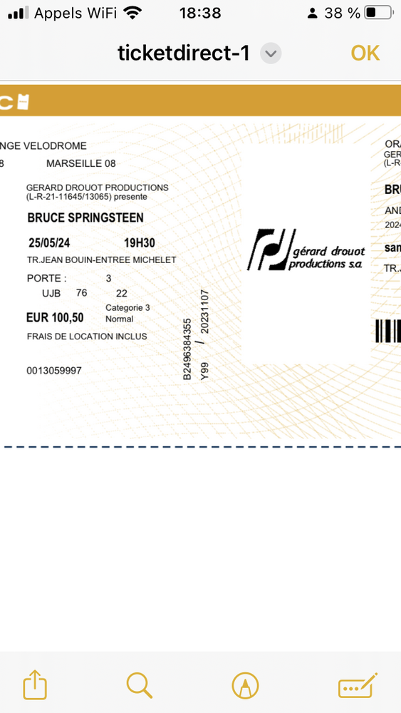 Concert Springsteen 101 Toulon (83)