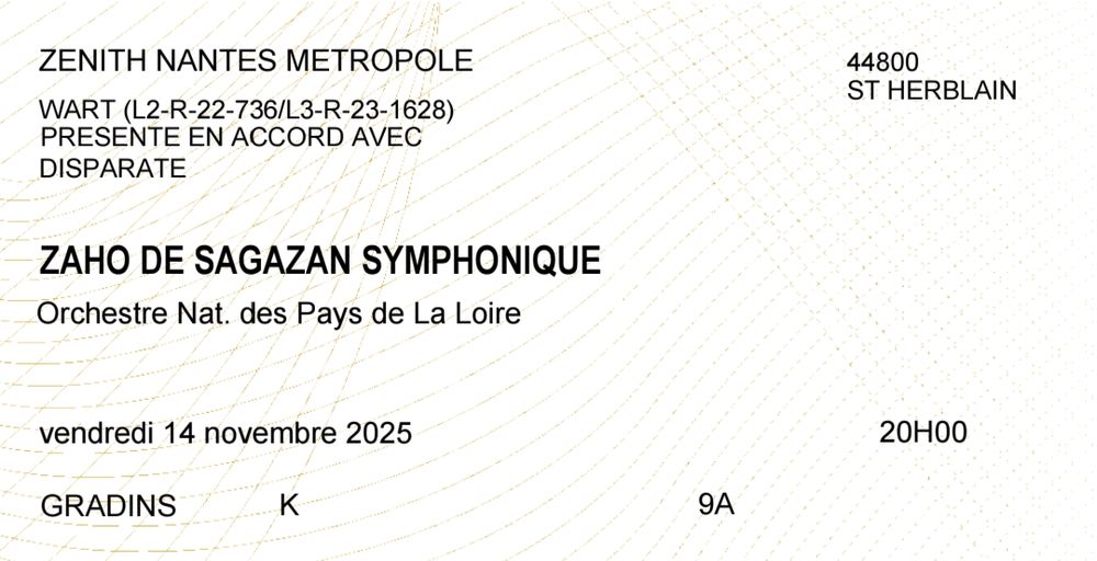 Concert Zaho de sagazan zenith Nantes 14/11 138 Niort (79)