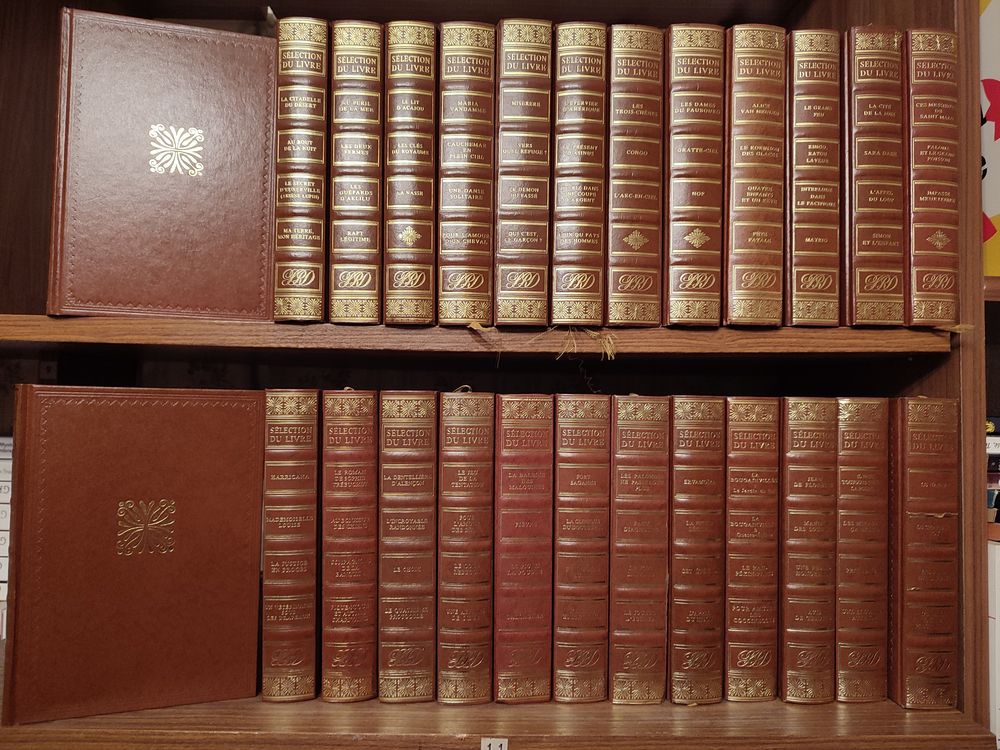 Condenses de livres 10 Valence (26)