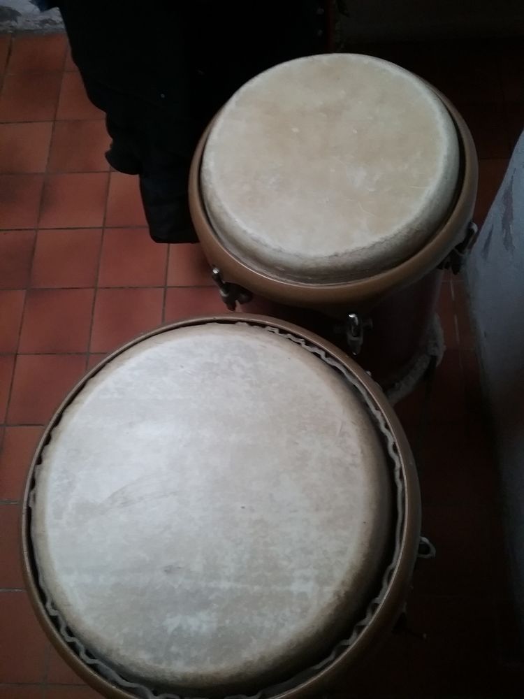 Congas Asba vintage 100 Notre-Dame-de-Monts (85)