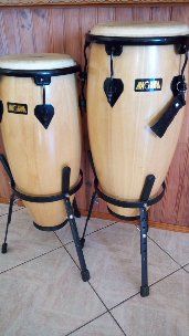 Congas 250 Banyuls-dels-Aspres (66)