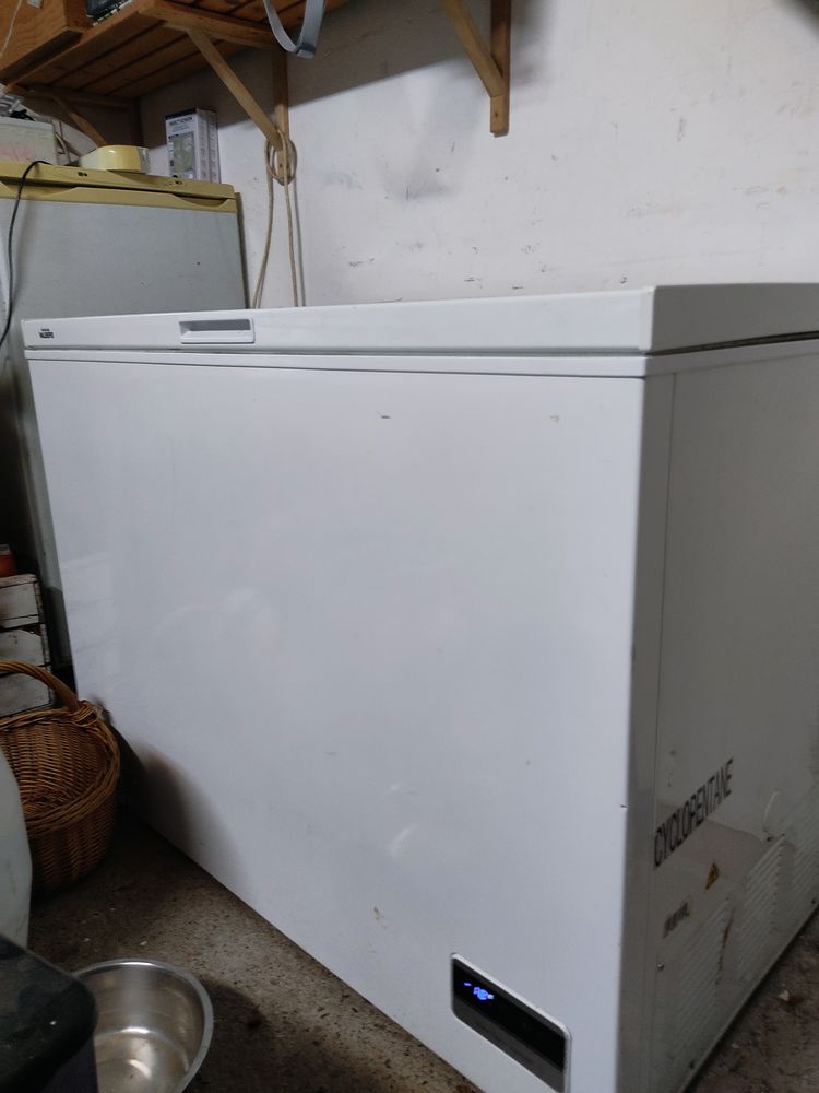 cong�lateur 290L 160 Lempdes (63)