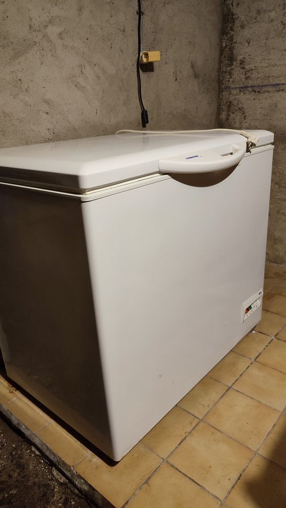 Cong�lateur coffre LIEBHERR de 299 litres 180 Paray-le-Monial (71)