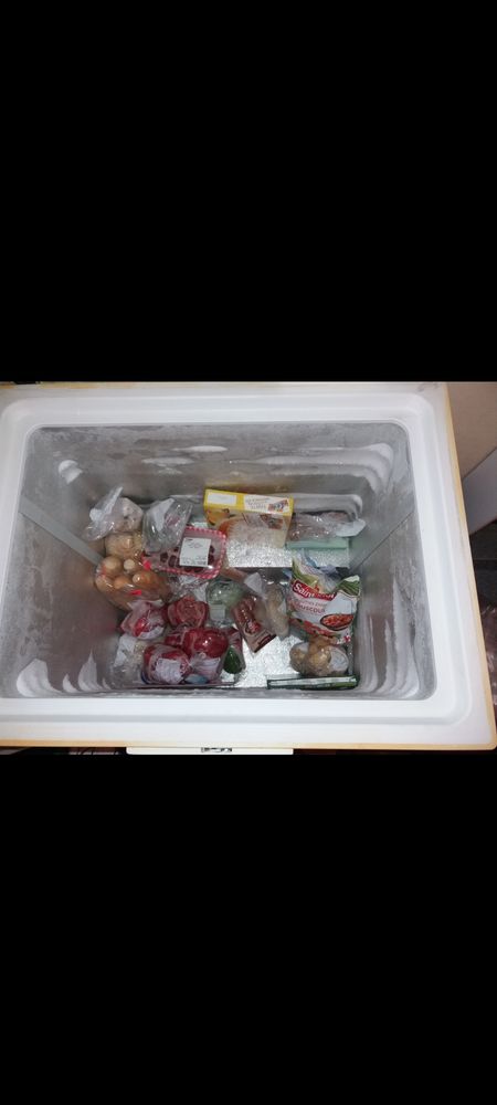 Cong�lateur coffre 1 Verlinghem (59)