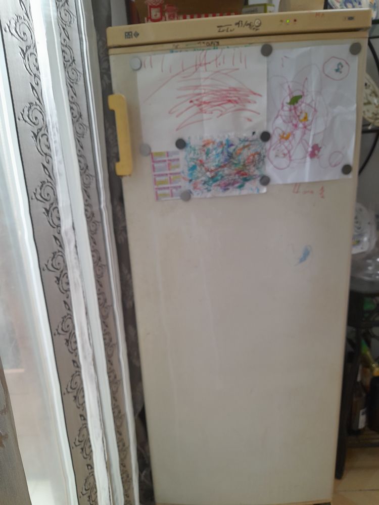 Cong�lateur � tirroir 100 La Possession (97)