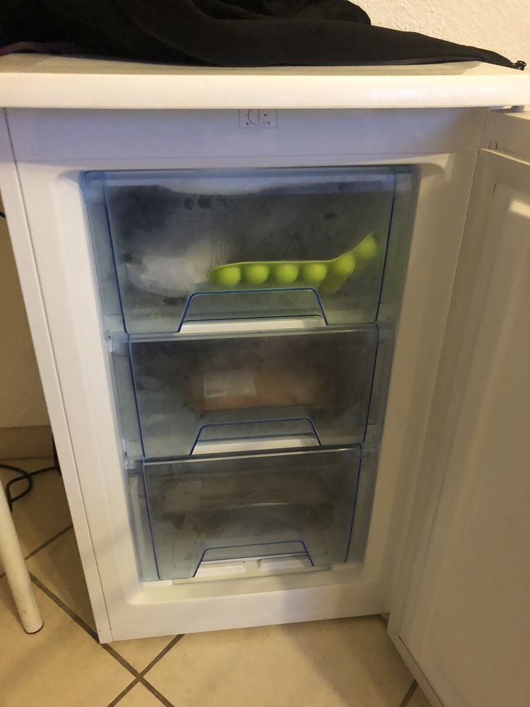 Cong�lateur 0 Pau (64)