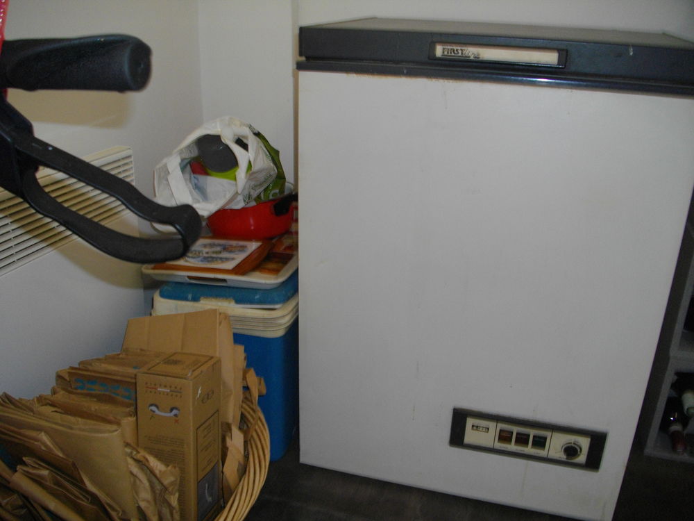 CONGELATEUR BAC 60 Marans (17)