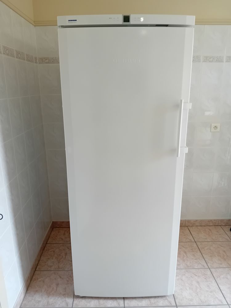 Cong�lateurA+++ Liebherr NoFrost Premium GNP3666 0 Pollestres (66)