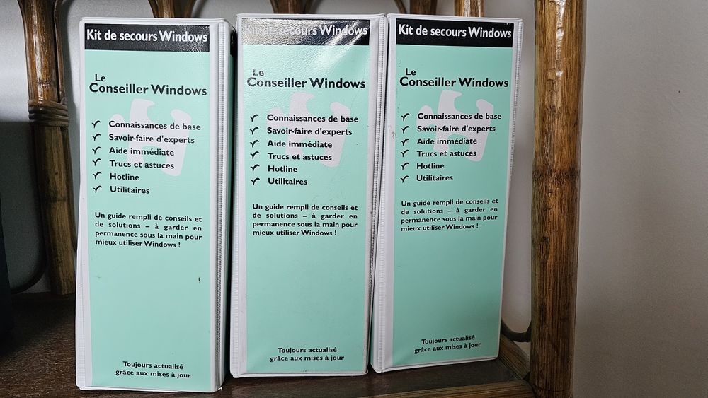 Conseill� Windows 10 Viviers-du-Lac (73)