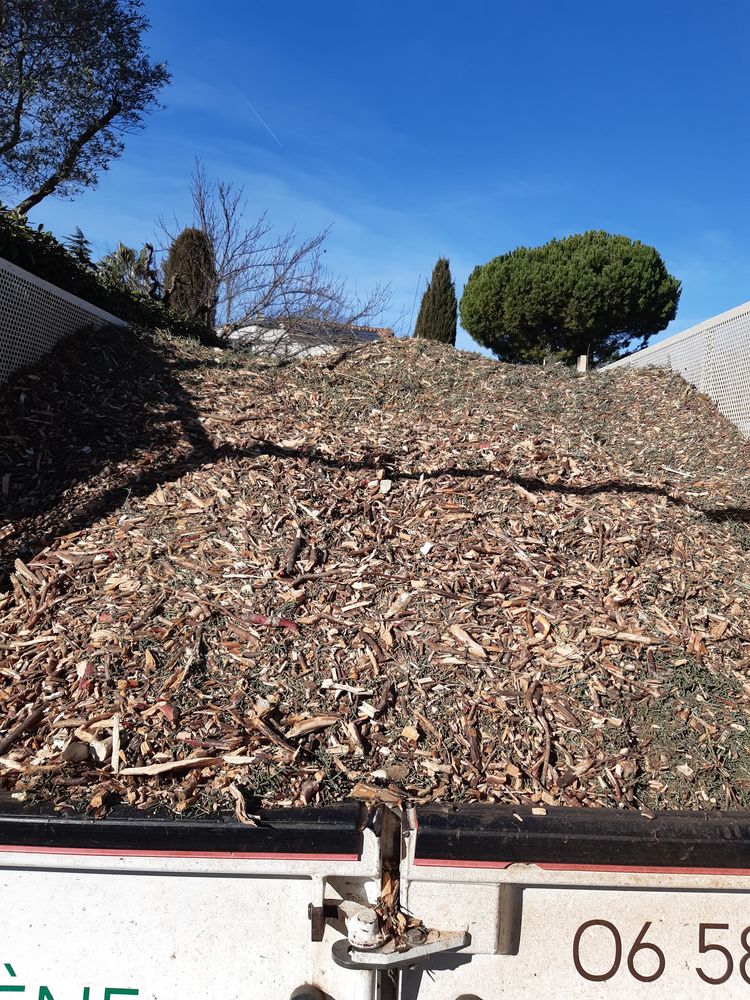 copeaux de bois BRF pour Jardin et plantations 14 Saint-F�lix-de-Lodez (34)