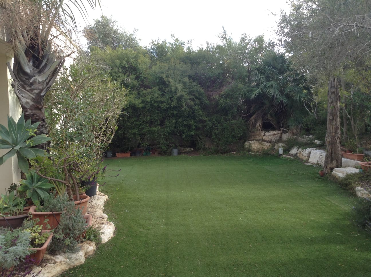 Copie Knoll 0 Buzenval (92)