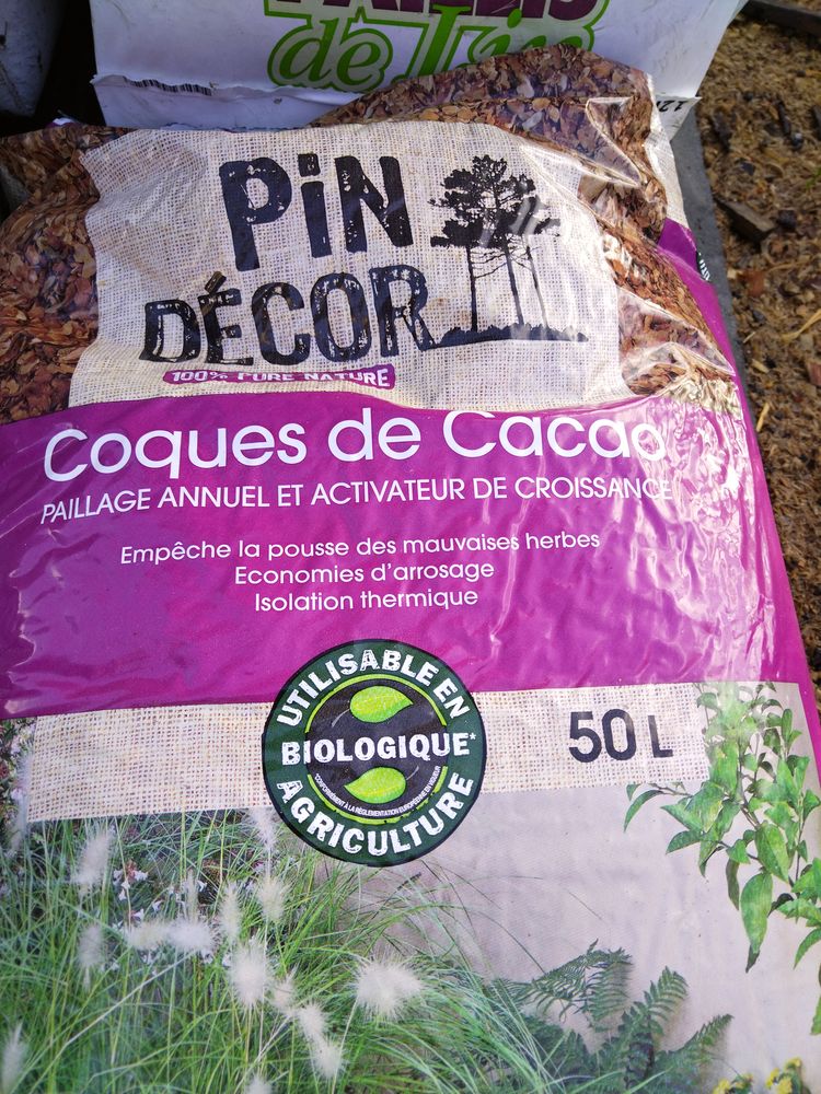 Coque de cacao 7 Lim�sy (76)