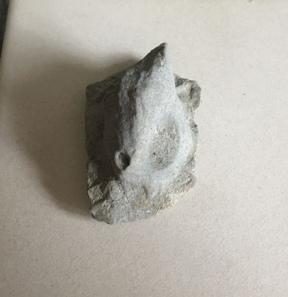 Coquillage fossilis� 9 Paris 20 (75)