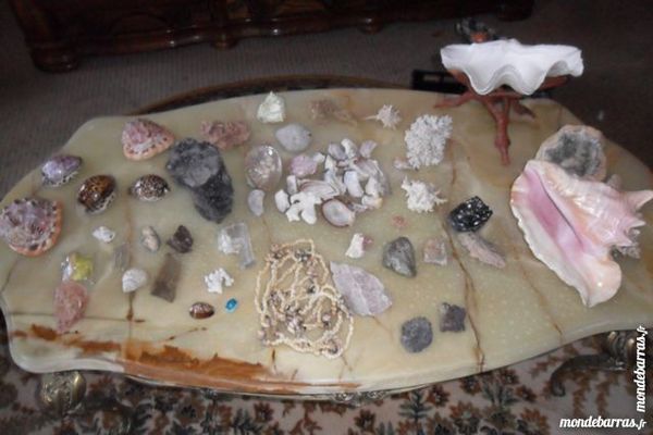 lot de coquillages et mineraux 80 Am�lie-les-Bains-Palalda (66)