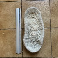 corail fossile cabinet curiosit� d�co loft 50 Villeurbanne (69)