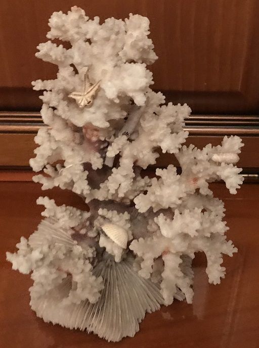 CORAUX 15 Rosny-sous-Bois (93)