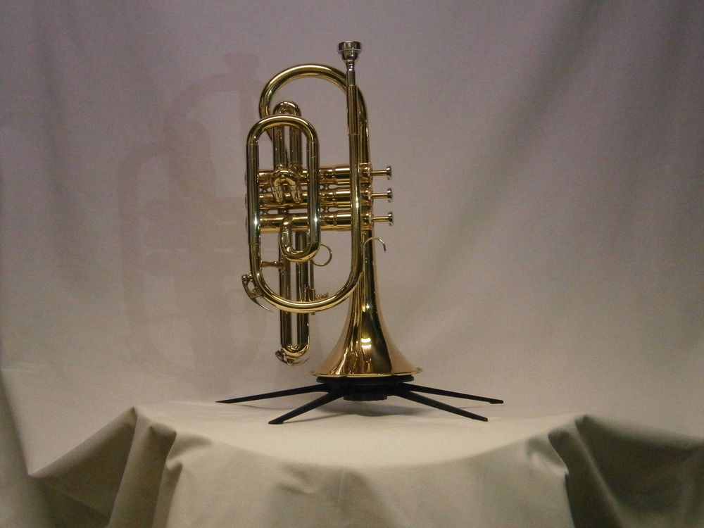Cornet Besson verni s�rie 600 d'occasion 350 Saint-Claude (39)