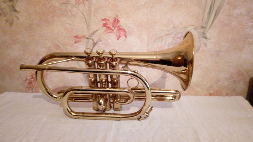 cornet 220 Orl�ans (45)