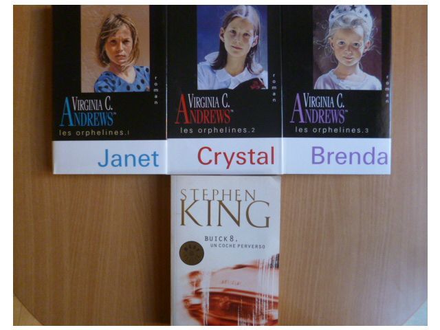 P.Cornwell, MH Clark, PC & Kristin  Cast, V.C. Andrews... 3 Martigues (13)