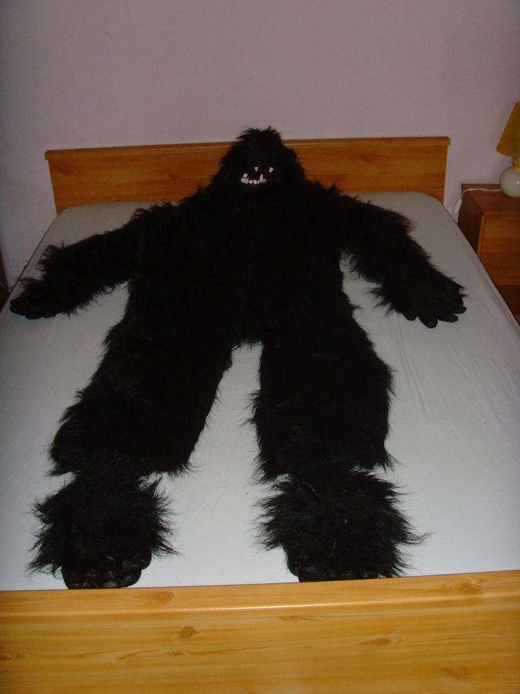 Costume de Gorille. 50 Tournon-sur-Rh�ne (07)