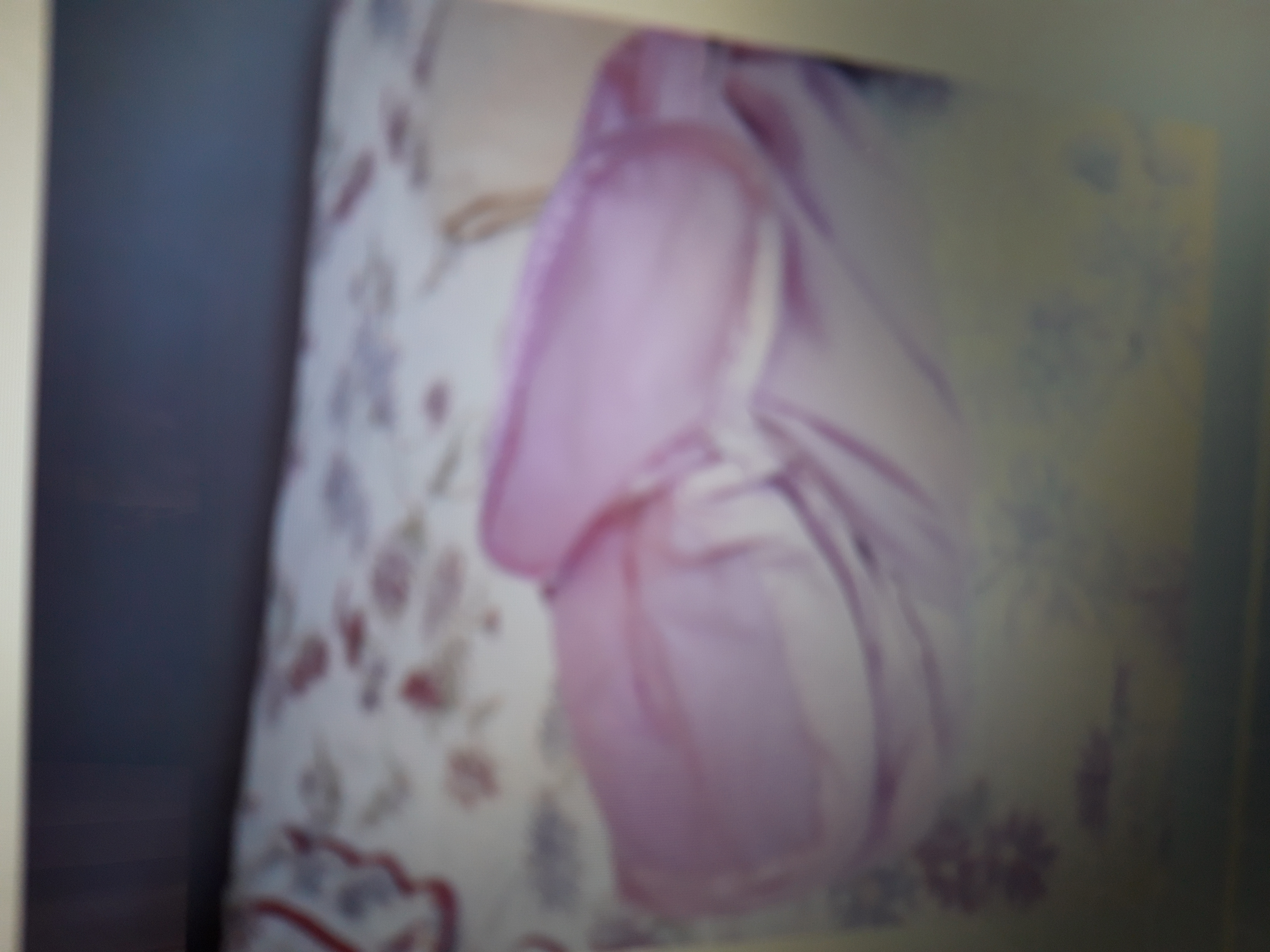 sac de couchage filles 15 Barbonne-Fayel (51)