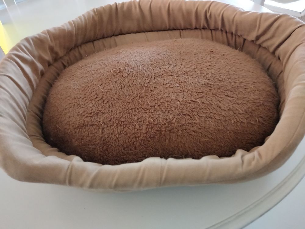 Couchage Petit chien ou chat 5 Bron (69)