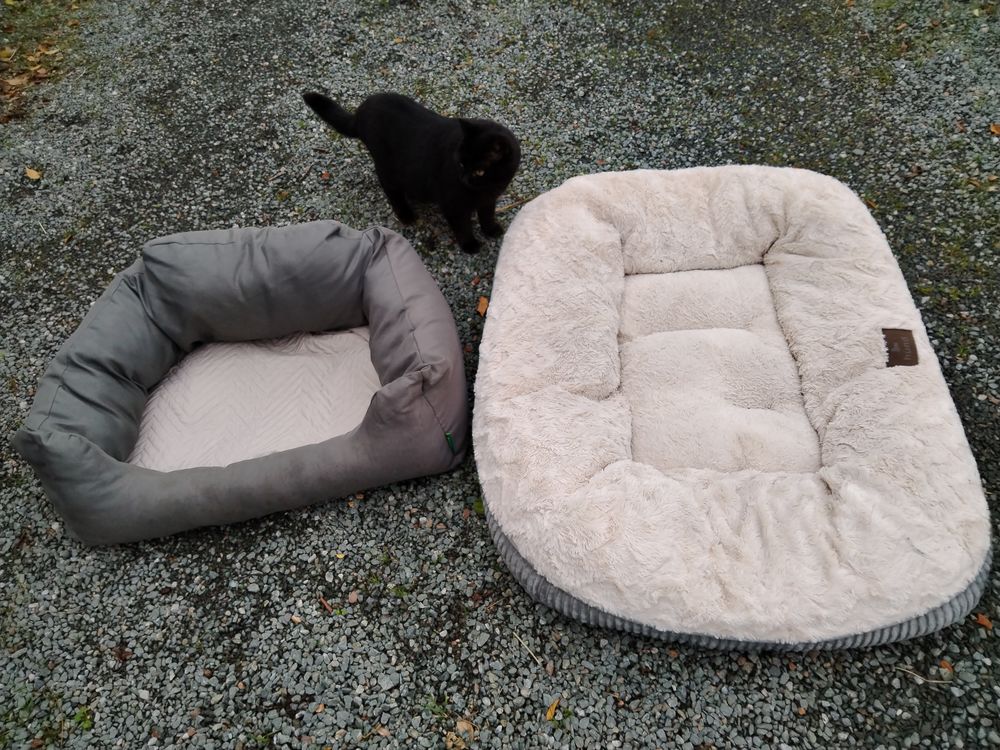 Couchage pour chien ou chat 20 Villev�que (49)