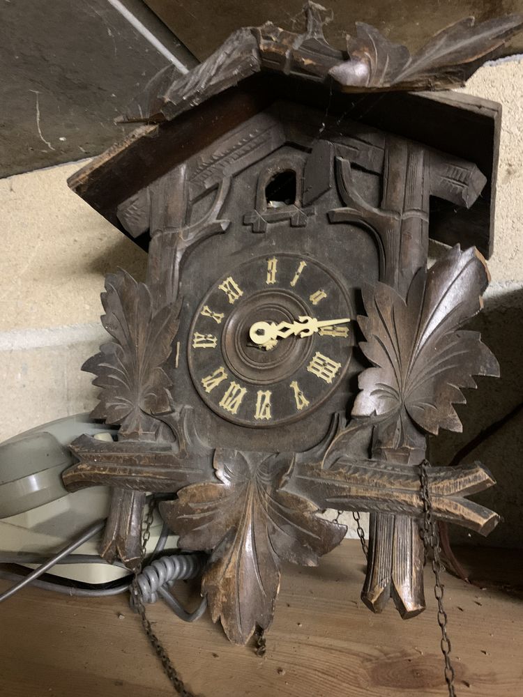 Coucou 10 Les Mesneux (51)