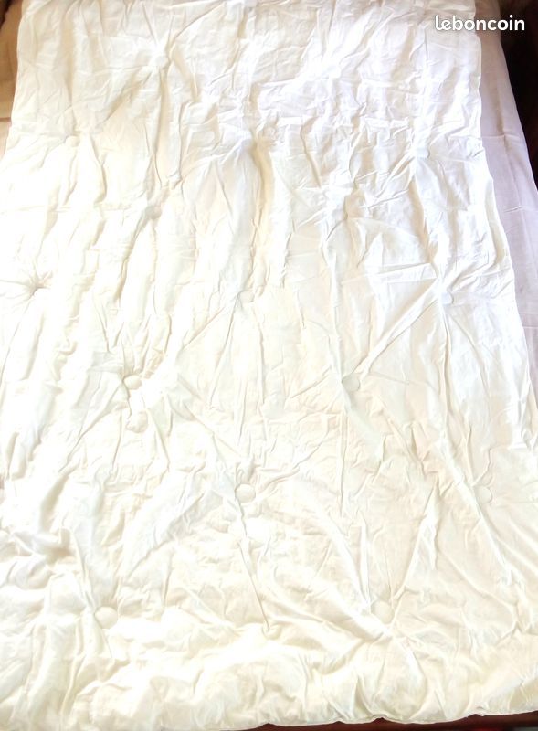 COUETTES NEUVE 140X200 DUPONT 65 Poitiers (86)