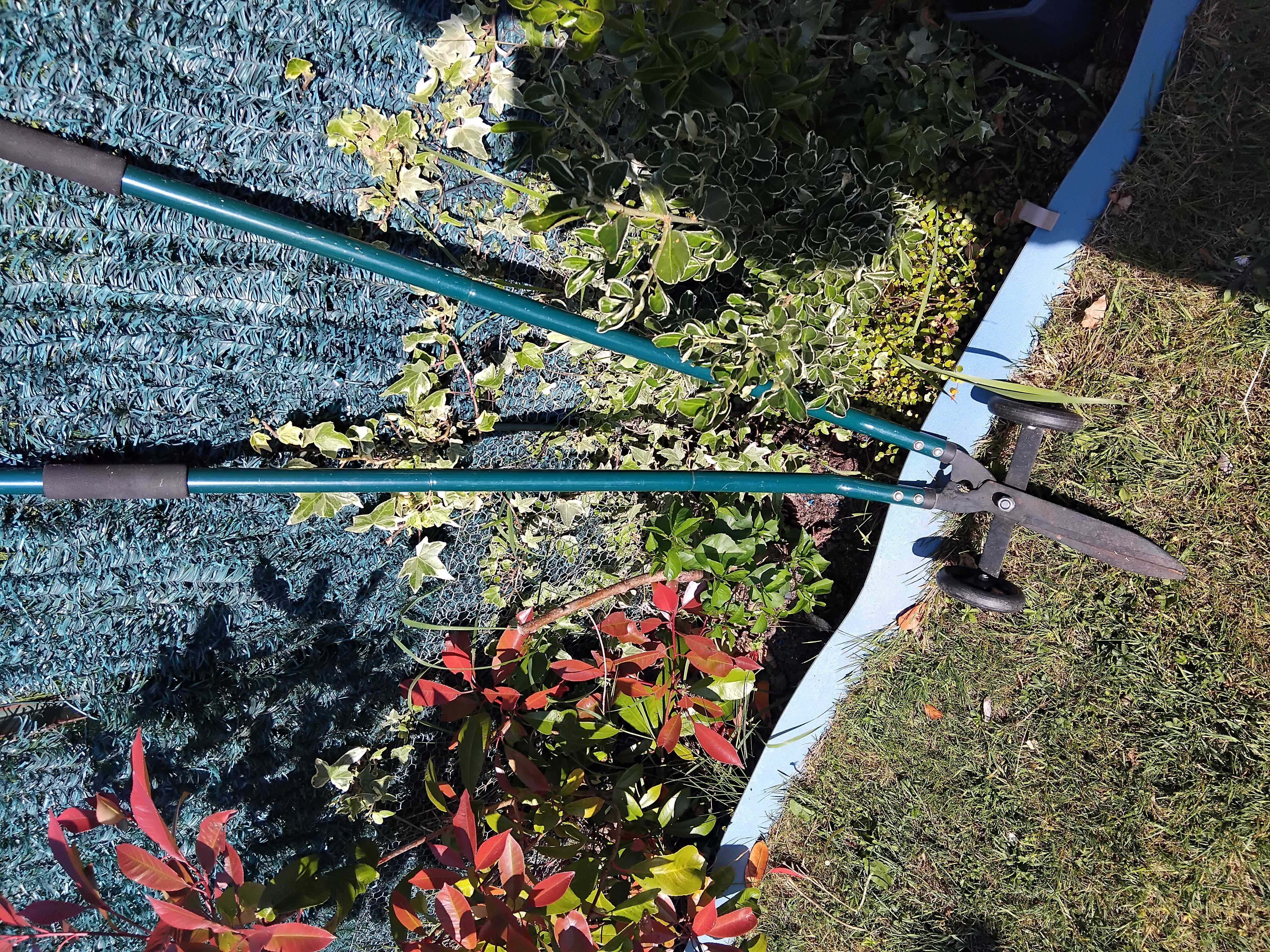 coupe bordure 7 Oye-Plage (62)