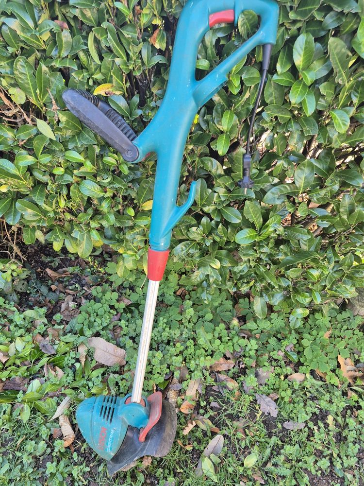 coupe bordure 25 Belmont-de-la-Loire (42)