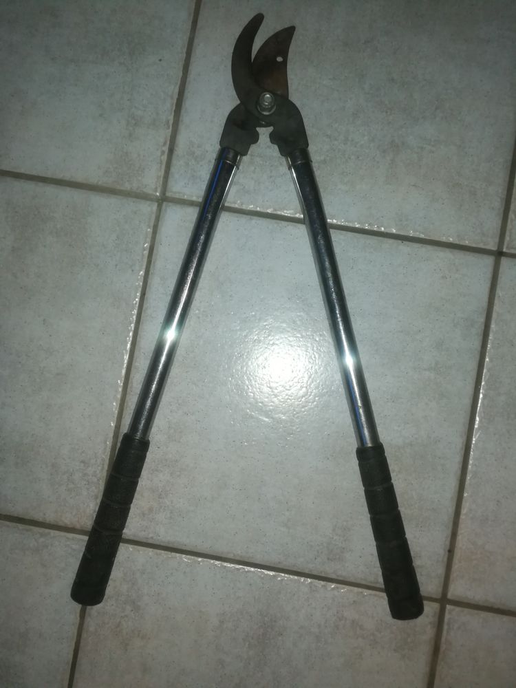 Coupe branches 5 Le Creusot (71)