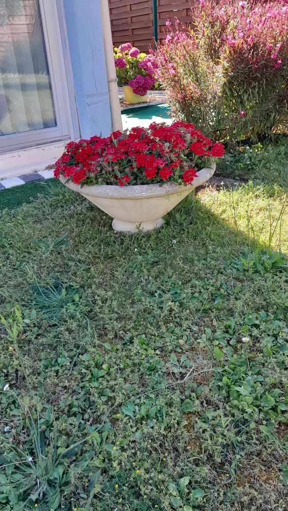 Coupe fleurie 45 P�rigny (17)