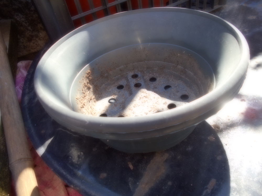 coupe de fleurs 35 V�z�nobres (30)