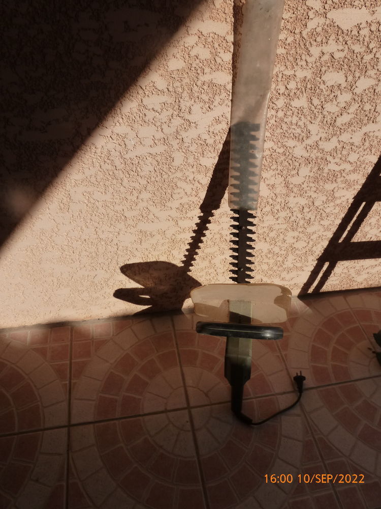 coupe haies 15 Saint-Nazaire-d'Aude (11)