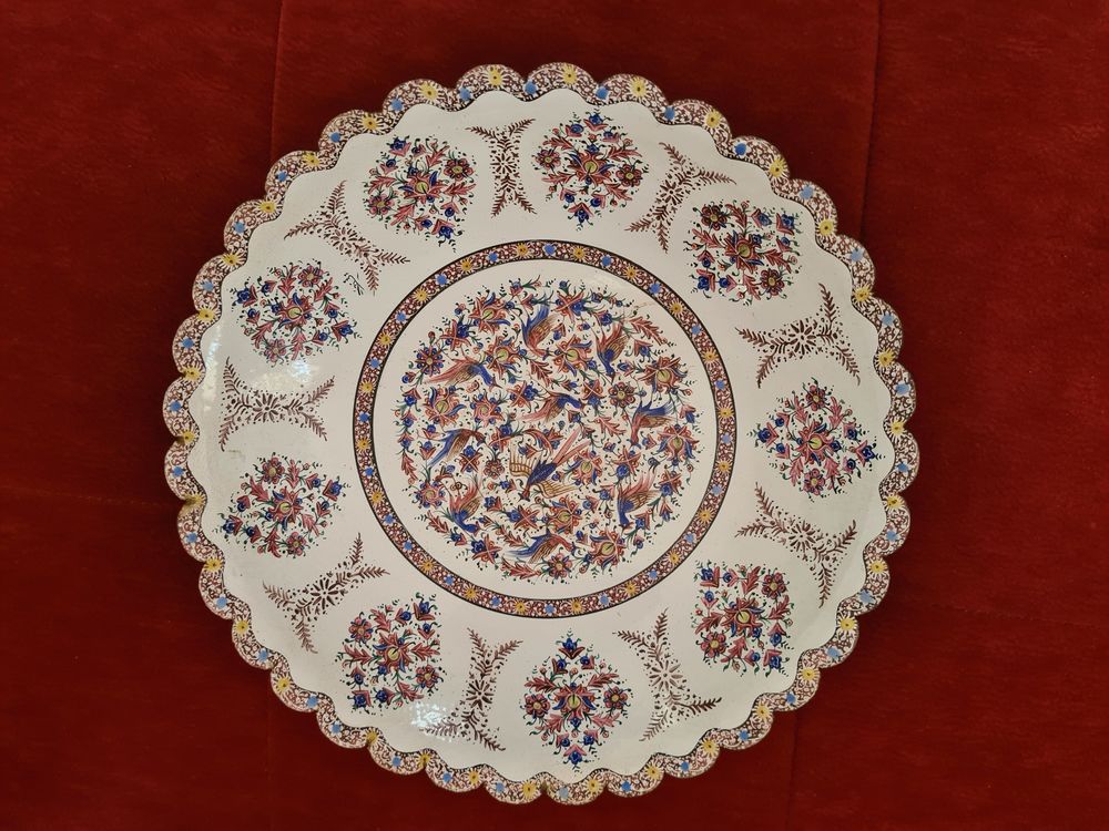 Coupe Iranienne sur pied 290 Thiberville (27)