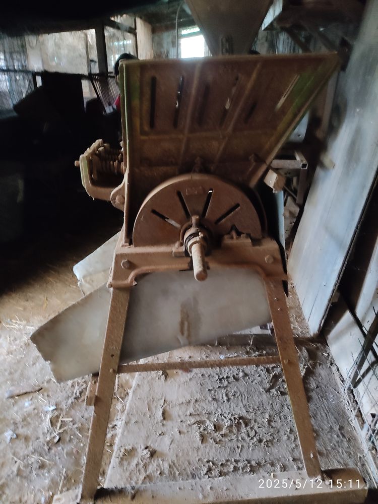 Coupe racine pour animaux 50 Lanouaille (24)