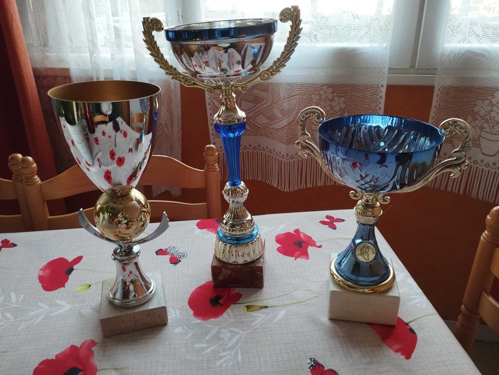 coupe 15 Sartrouville (78)